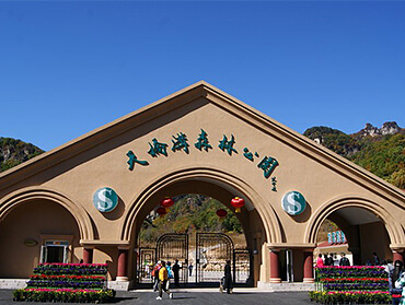 參仙源參業(yè)股份有限公司